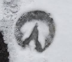 snowprint